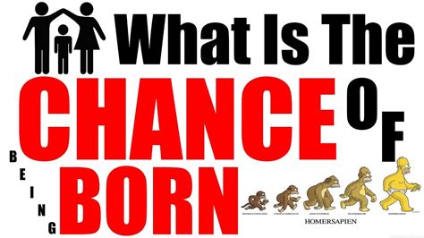 chances of being born|What Are The Odds of Being Born .